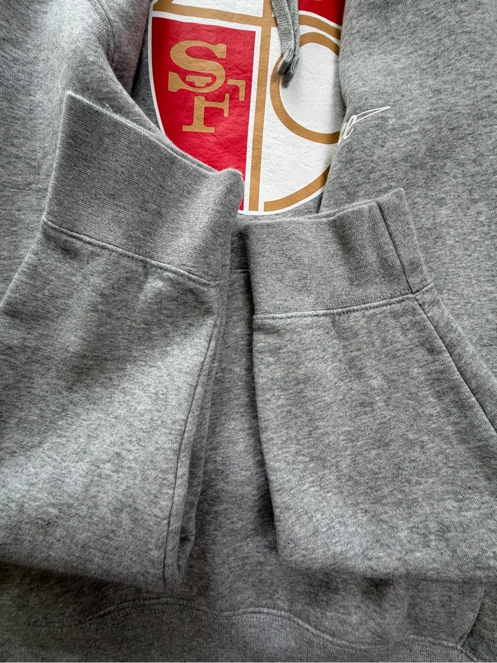 Nike Gray Hoodie with Red & Gold Crest Logo